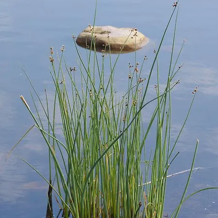Kylmaepihlaja Lighthouse Hotel