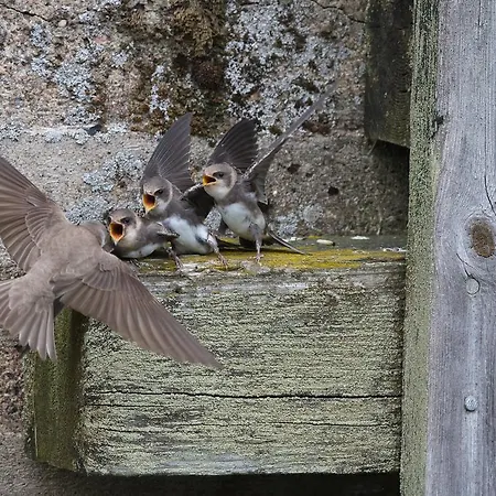 Hotel Kylmaepihlaja Lighthouse 3*