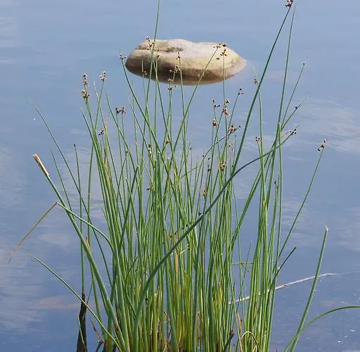 Kylmaepihlaja Lighthouse Hotel
