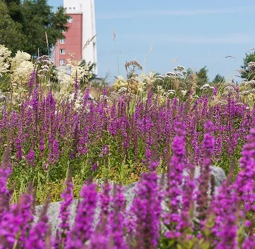 Hotel Kylmaepihlaja Lighthouse 3*