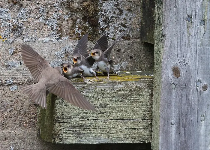 Hotel Kylmaepihlaja Lighthouse 3*