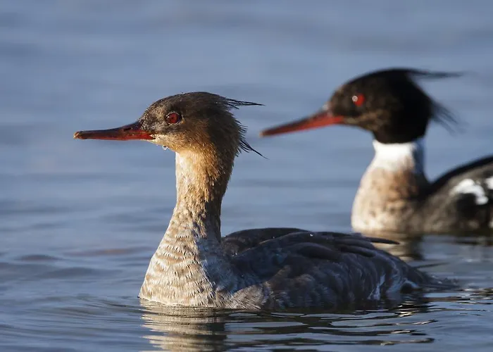 Kylmaepihlaja Lighthouse Hotel Rauma